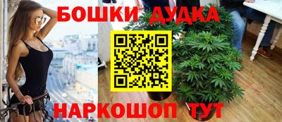 прущие крисы Кандалакша