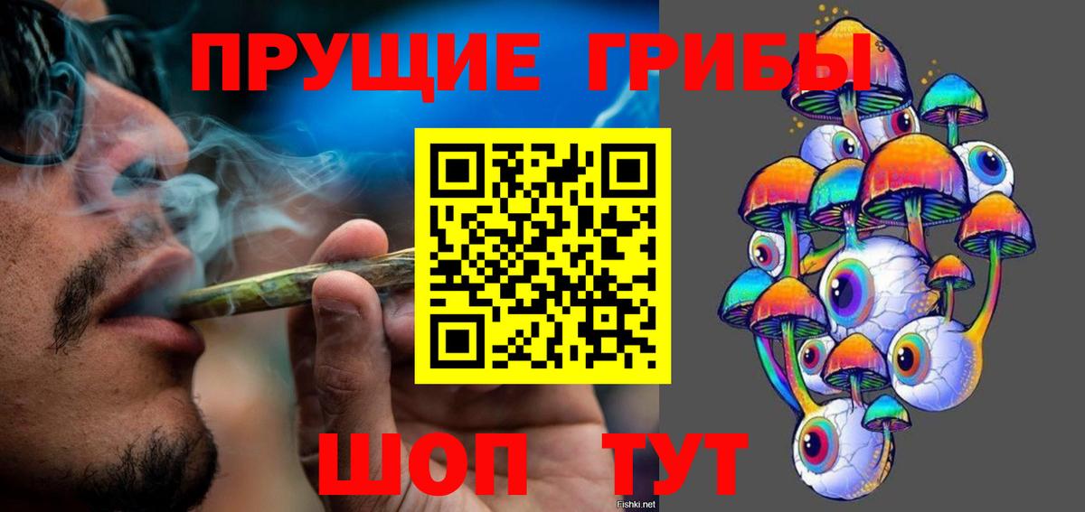 Галлюциногенные грибы Psilocybe Коммунар